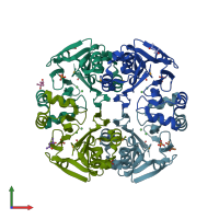 PDB entry 1ztc coloured by chain, front view.