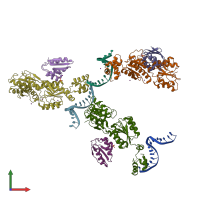 PDB entry 1zvv coloured by chain, front view.