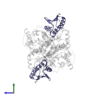 HPr-like protein Crh in PDB entry 1zvv, assembly 2, side view.