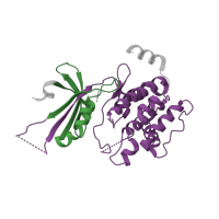 The deposited structure of PDB entry 1zy4 contains 4 copies of Pfam domain PF00069 (Protein kinase domain) in eIF-2-alpha kinase GCN2. Showing 2 copies in chain A.