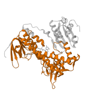 The deposited structure of PDB entry 1zy8 contains 10 copies of Pfam domain PF07992 (Pyridine nucleotide-disulphide oxidoreductase) in Dihydrolipoyl dehydrogenase, mitochondrial. Showing 1 copy in chain A.