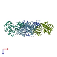 PDB entry 1zyc coloured by chain, top view.