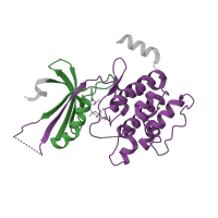 The deposited structure of PDB entry 1zyd contains 4 copies of Pfam domain PF00069 (Protein kinase domain) in eIF-2-alpha kinase GCN2. Showing 2 copies in chain A.