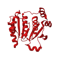 The deposited structure of PDB entry 1zyn contains 2 copies of CATH domain 3.40.30.80 (Glutaredoxin) in Alkyl hydroperoxide reductase subunit F. Showing 1 copy in chain A.