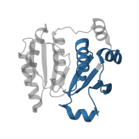 The deposited structure of PDB entry 1zyn contains 2 copies of Pfam domain PF13192 (Thioredoxin domain) in Alkyl hydroperoxide reductase subunit F. Showing 1 copy in chain A.