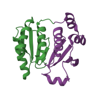 The deposited structure of PDB entry 1zyn contains 4 copies of SCOP domain 52849 (PDI-like) in Alkyl hydroperoxide reductase subunit F. Showing 2 copies in chain A.