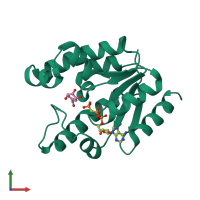 PDB entry 1zyu coloured by chain, front view.