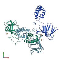 PDB entry 1zz9 coloured by chain, front view.