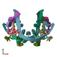 PDB entry 207d coloured by chain, ensemble of 8 models, front view.