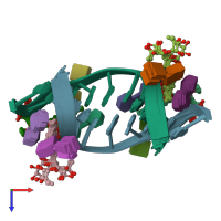 PDB entry 207d coloured by chain, ensemble of 8 models, top view.