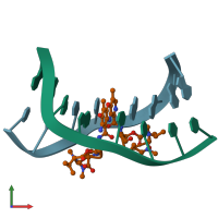 PDB entry 209d coloured by chain, front view.