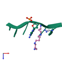 PDB entry 211d coloured by chain, top view.