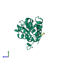 PDB entry 212l coloured by chain, side view.