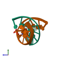 PDB entry 214d coloured by chain, ensemble of 40 models, side view.