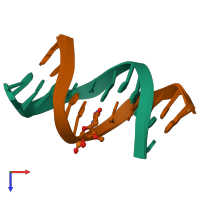 PDB entry 214d coloured by chain, ensemble of 40 models, top view.