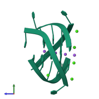Homo tetrameric assembly 1 of PDB entry 244d coloured by chemically distinct molecules, side view.