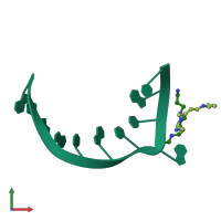 PDB entry 248d coloured by chain, front view.