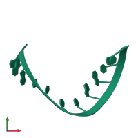 PDB entry 255d coloured by chain, front view.
