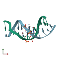 PDB entry 291d coloured by chain, front view.