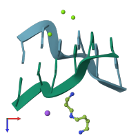 PDB entry 293d coloured by chain, top view.