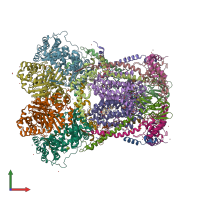 PDB entry 2a06 coloured by chain, front view.