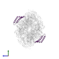 Cytochrome b-c1 complex subunit 6, mitochondrial in PDB entry 2a06, assembly 1, side view.