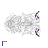 Cytochrome b-c1 complex subunit 6, mitochondrial in PDB entry 2a06, assembly 1, top view.