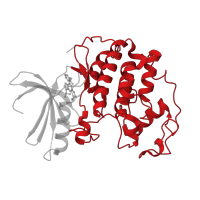 The deposited structure of PDB entry 2a0c contains 1 copy of CATH domain 1.10.510.10 (Transferase(Phosphotransferase); domain 1) in Cyclin-dependent kinase 2. Showing 1 copy in chain A [auth X].