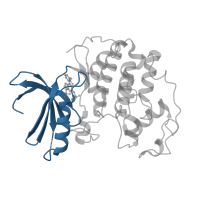 The deposited structure of PDB entry 2a0c contains 1 copy of CATH domain 3.30.200.20 (Phosphorylase Kinase; domain 1) in Cyclin-dependent kinase 2. Showing 1 copy in chain A [auth X].