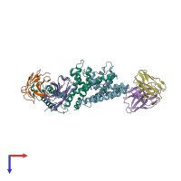 PDB entry 2a0l coloured by chain, top view.