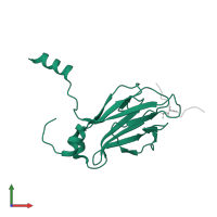 Serine/threonine-protein kinase RAD53 in PDB entry 2a0t, assembly 1, front view.