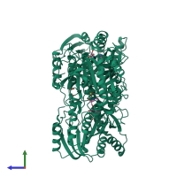 Homo trimeric assembly 1 of PDB entry 2a0w coloured by chemically distinct molecules, side view.