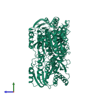 Purine nucleoside phosphorylase in PDB entry 2a0w, assembly 1, side view.