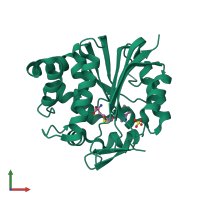 PDB entry 2a14 coloured by chain, front view.