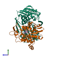 PDB entry 2a1u coloured by chain, side view.