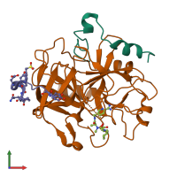 PDB entry 2a2x coloured by chain, front view.