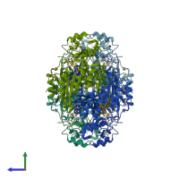 PDB entry 2a5h coloured by chain, side view.