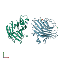 PDB entry 2a6v coloured by chain, front view.