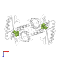 ADENOSINE-5'-TRIPHOSPHATE in PDB entry 2a84, assembly 1, top view.