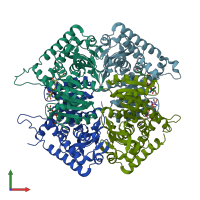 PDB entry 2a92 coloured by chain, front view.