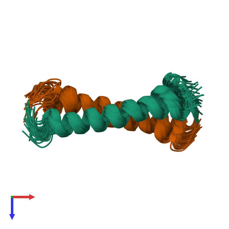 <div class='caption-body'><ul class ='image_legend_ul'>The deposited structure of PDB entry 2a93 coloured by chemically distinct molecules and viewed from the top. The entry contains: <li class ='image_legend_li'>1 copy of C-MYC-MAX HETERODIMERIC LEUCINE ZIPPER</li> <li class ='image_legend_li'>1 copy of C-MYC-MAX HETERODIMERIC LEUCINE ZIPPER</li><li class ='image_legend_li'>[]</li></ul></li></ul></li></div>