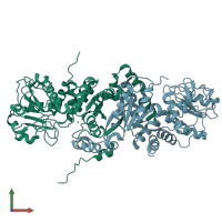 PDB entry 2a9f coloured by chain, front view.