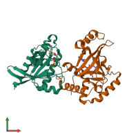 PDB entry 2a9k coloured by chain, front view.