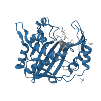 The deposited structure of PDB entry 2a9w contains 4 copies of Pfam domain PF00303 (Thymidylate synthase) in Thymidylate synthase. Showing 1 copy in chain A.