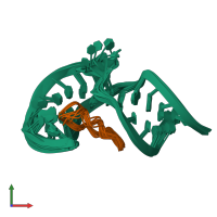 PDB entry 2a9x coloured by chain, ensemble of 10 models, front view.