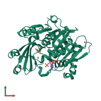 PDB entry 2a9z coloured by chain, front view.