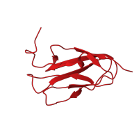 The deposited structure of PDB entry 2aav contains 1 copy of CATH domain 2.60.40.10 (Immunoglobulin-like) in Filamin-A. Showing 1 copy in chain A.