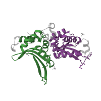 The deposited structure of PDB entry 2ab5 contains 4 copies of Pfam domain PF00961 (LAGLIDADG endonuclease) in Cytochrome b mRNA maturase bI3. Showing 2 copies in chain A.