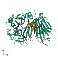 PDB entry 2ac1 coloured by chain, front view.