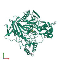 PDB entry 2ace coloured by chain, front view.